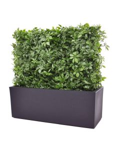 Seto artificial Schefflera 80x25x56cm - Resistente a los rayos UV