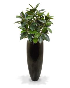 Planta artificial Elastica Robusta 90cm - verde