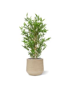 Árbol artificial de bambú japonés 90cm - resistente a los rayos UV