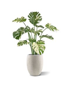 Monstera planta artificial 110cm - verde