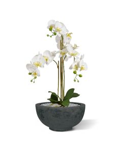Orquídea Phalaenopsis artificial 75cm blanca