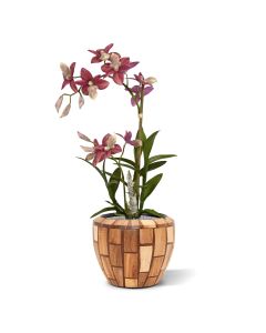 Orquídea artificial araña burdeos 50cm