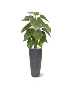 Alocasia Calidora planta artificial 115cm
