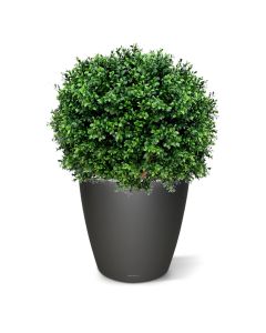 Bola de boj planta artificial de lujo N 60cm - resistente a los rayos UV