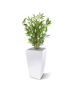 Bambú japonés planta artificial 60cm - resistente a los rayos UV