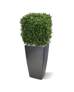 Boj artificial cuadrado 30cm - Resistente a los rayos UV