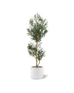 Olivo artificial promo 180cm