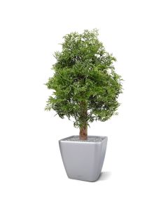 Ming Aralia planta artificial UV 90cm