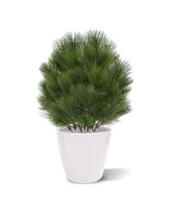 Planta artificial bulbo de pino 60cm - resistente a los rayos UV