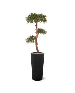 Podocarpus Bonsai árbol artificial 105 cm - resistente a los UV