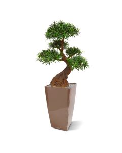 Podocarpus Bonsai planta artificial 90cm - resistente a los UV