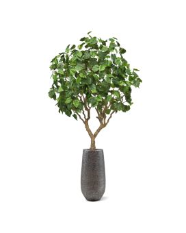Ficus Umbellata Árbol artificial 250cm