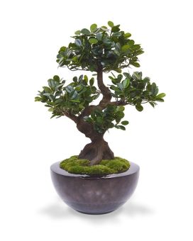 Panda Bonsai arbol artificial sobre base 70cm