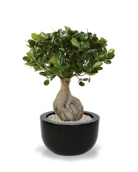 Panda Bonsai árbol artificial 55cm