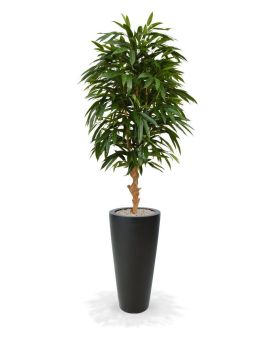 Árbol artificial Longifolia Royal deluxe 165cm