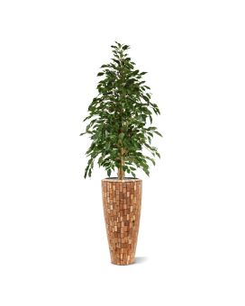 Ficus artificial Exotica 150cm groen