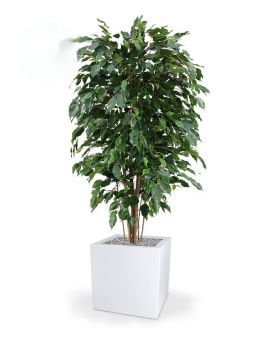 Ficus Exotica deluxe planta artificial 150cm - verde - FR - retardante del fuego