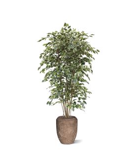 Ficus Exotica árbol artificial deluxe 210cm - variegado