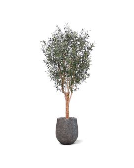 Olivo artificial Deluxe 180cm