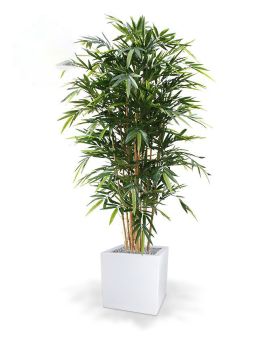 Árbol artificial de bambú deluxe 180cm - FR - ignífugo