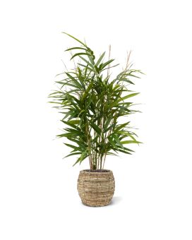 Planta artificial Royal Bamboo 70cm - verde