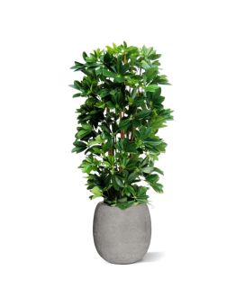 Schefflera columna planta artificial 120cm