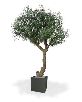 Olivo artificial gigante 275 cm en forma de Y