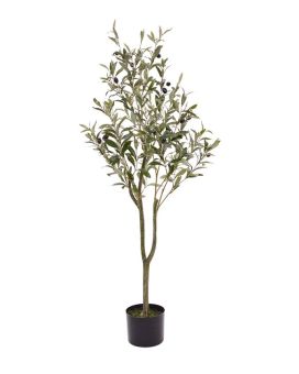Arte Olivo promo 120cm