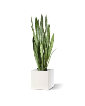 Sanseveria planta artificial 130cm - verde