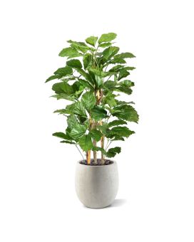 Tetrastigma planta artificial 120cm