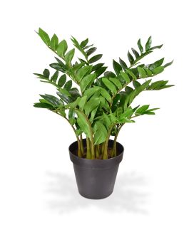Planta artificial de Zamioculcas 70cm