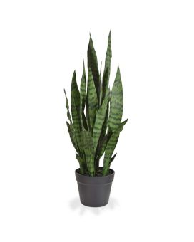 Sanseveria planta artificial N 70cm - verde