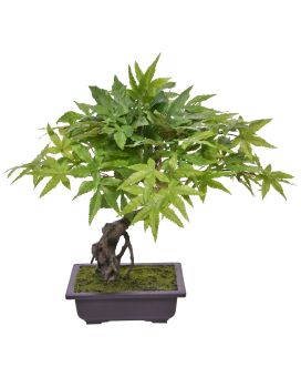 Bonsai de Acer Artificial 50cm Verde