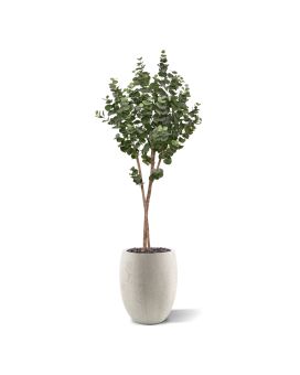 Eucalipto Árbol artificial sobre tronco 170cm