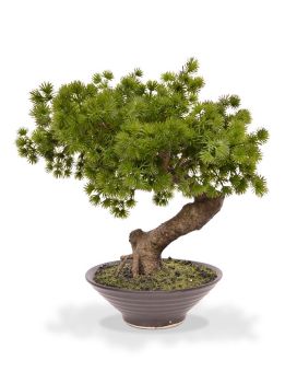 Pinus Bonsai planta artificial en cuenco 40cm