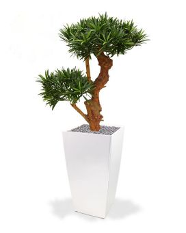 Podocarpus Bonsai deluxe planta artificial 65cm - resistente a los UV