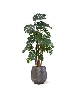 Planta artificial Monstera deluxe x5 - 180cm