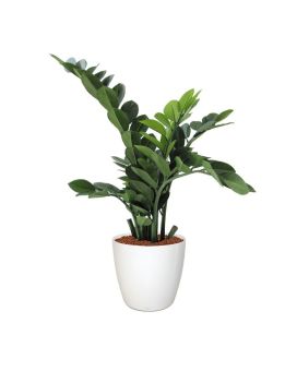 Zamioculcas planta artificial 65cm