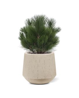 Planta artificial bulbo de pino 45cm - Resistente a los rayos UV