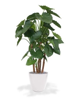 Alocasia Calidora planta artificial deluxe 165cm