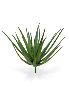 Ramo Aloë Deluxe 70 cm