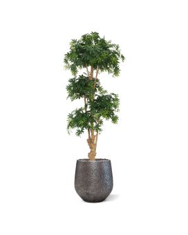 Árbol artificial Acer Bonsai deluxe 170cm - verde