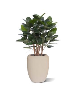 Planta artificial de Ficus Audrey 100cm