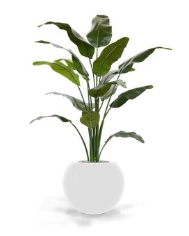 Traveller palma artificial deluxe 165cm