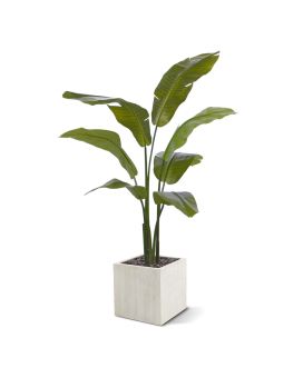 Palmera viajera artificial promo 120cm