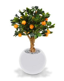 Árbol artificial Bonsai naranja sobre base 65cm