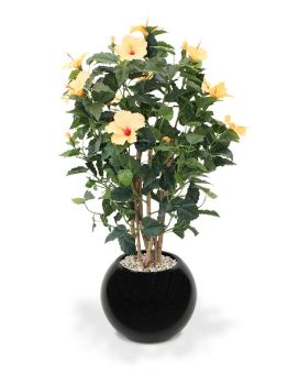 Hibiscus Deluxe 100 cm melocotón