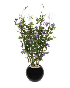 Seto de clemátide 125 cm púrpura