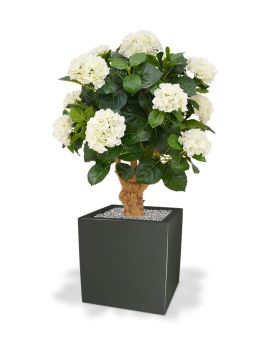 Hortensia Deluxe sobre tronco 90 cm crema