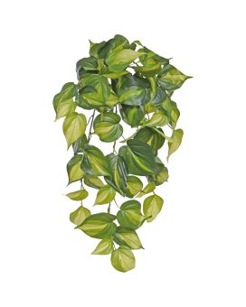 Planta artificial colgante Philodendron Scandens Brasil 50cm